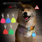 LED Triangle Pet Safety Pendant