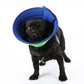 Anti-Bite Pet Recovery Cone