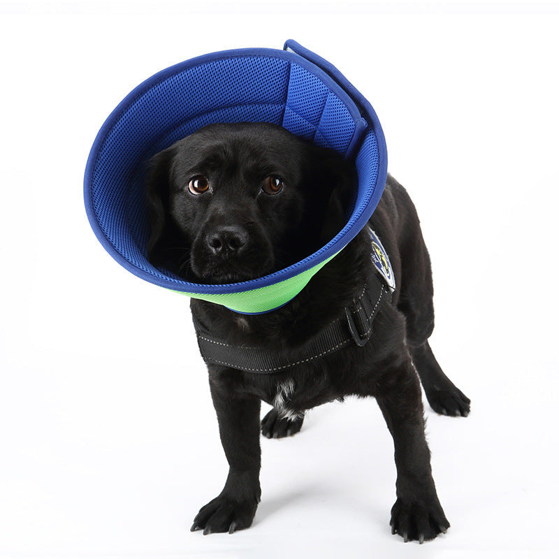 Anti-Bite Pet Recovery Cone