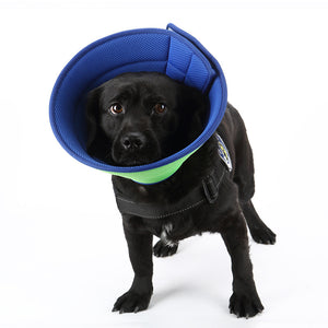 Anti-Bite Pet Recovery Cone