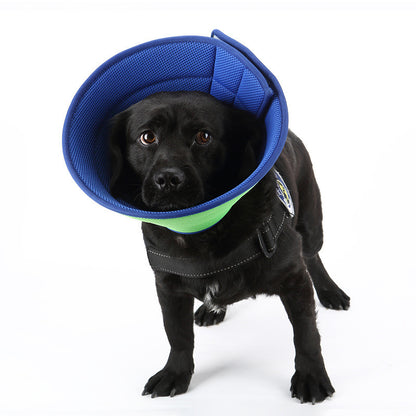Anti-Bite Pet Recovery Cone