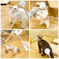 Retractable Cat Teaser Wand Toy