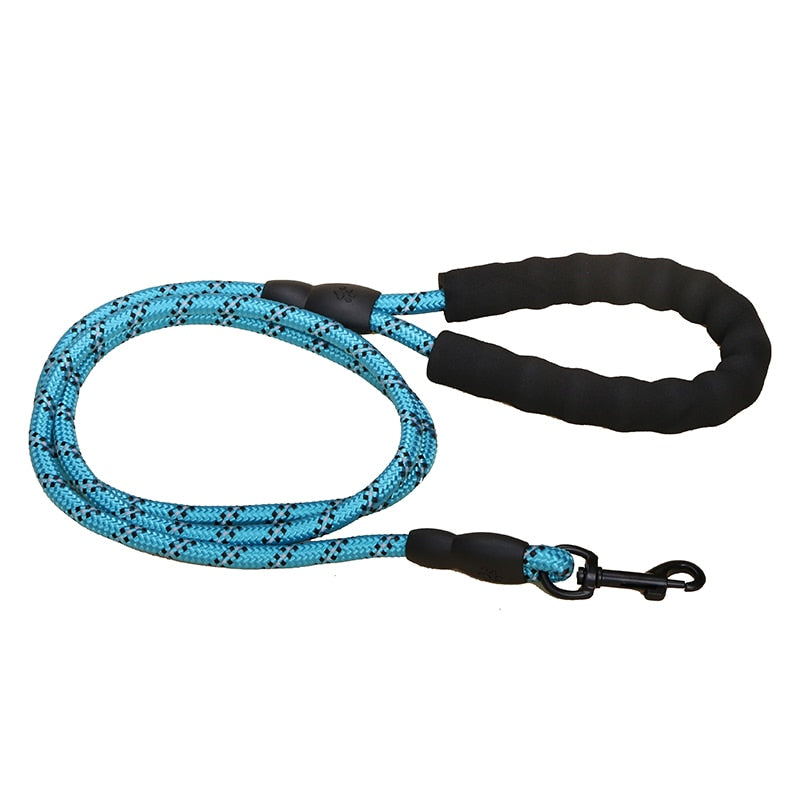 Premium Quality Nylon Leash - Pawfection