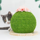 Cactus-Sisal Cat Scratching Post