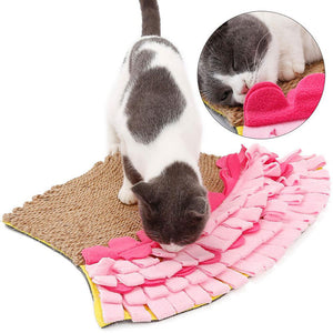 Cat Snuffle Puzzle Mat