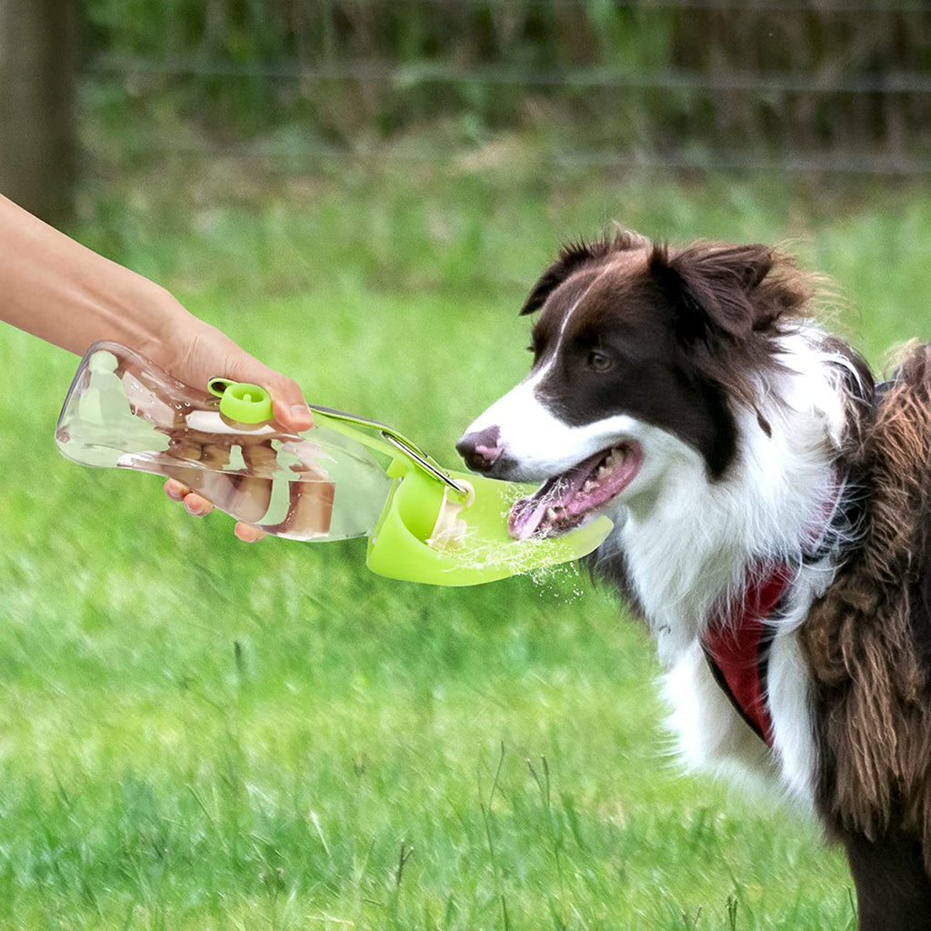 Portable Pet Water Dispenser Feeder Leak Proof - Pawfection