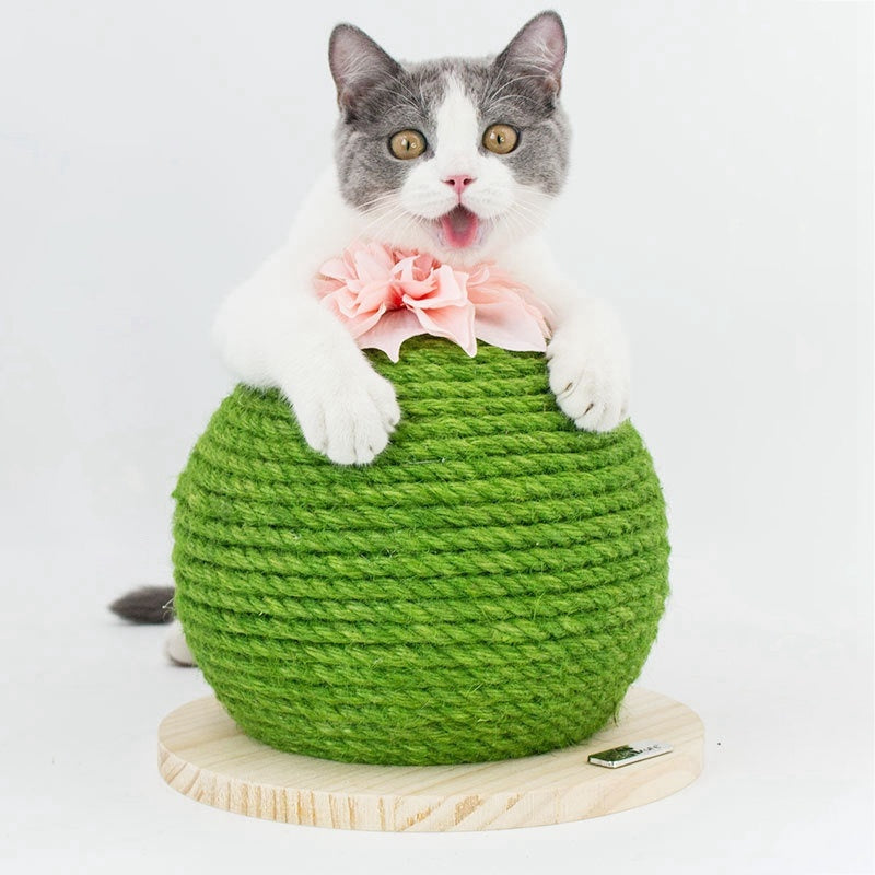 Cactus-Sisal Cat Scratching Post