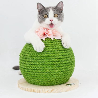 Cactus-Sisal Cat Scratching Post