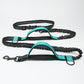 Reflective Bungee Dog Leash