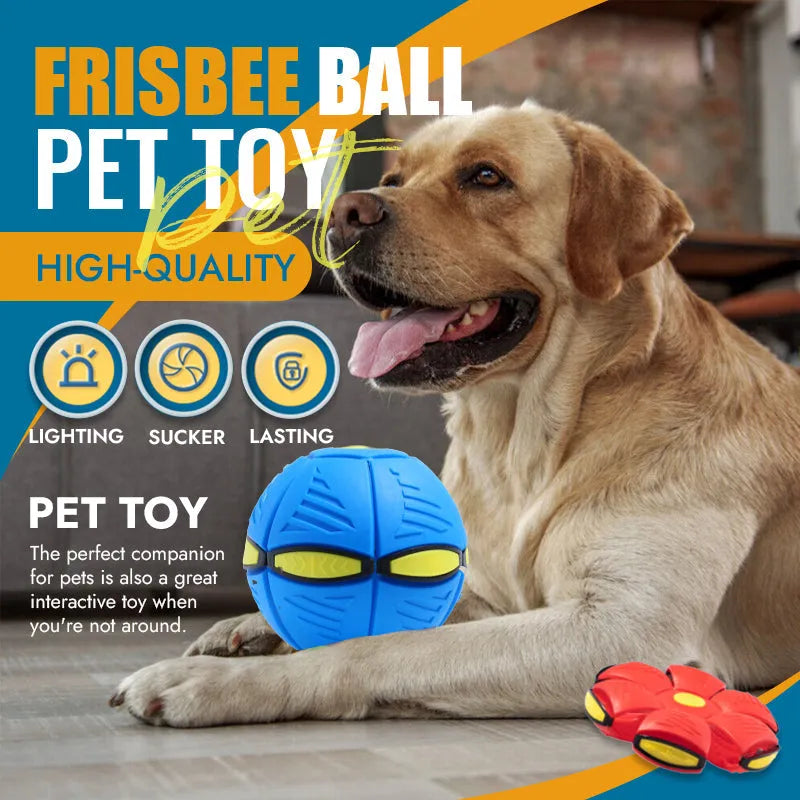 Pet Flying Saucer Ball - Pawfection