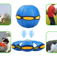 Pet Flying Saucer Ball