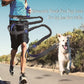 Reflective Bungee Dog Leash
