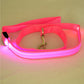 Rechargeable LED Pet Leash