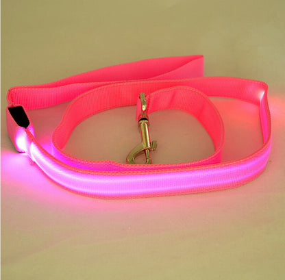 Rechargeable LED Pet Leash