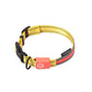 LED dog leash Yellow Set