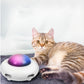 Electric Cat Teaser Toy