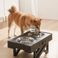 Travel Stainless Steel Pet Bowl