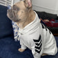 Winter Dog Jacket with Hood