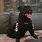 Winter Dog Jacket with Hood
