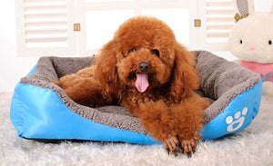 Colors Paw Pet Sofa