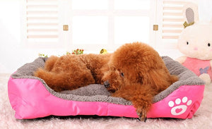 Colors Paw Pet Sofa
