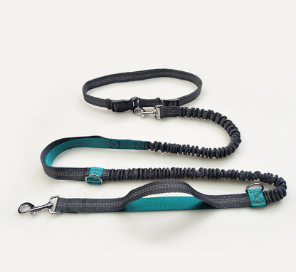 Reflective Bungee Dog Leash