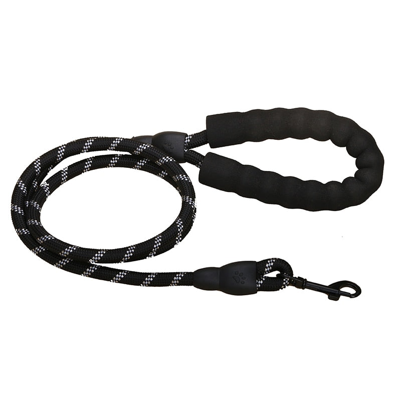 Premium Quality Nylon Leash - Pawfection