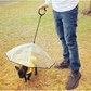 Pet Transparent Umbrella