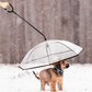 Pet Transparent Umbrella