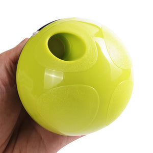 IQ Pet Food Dispenser Toy
