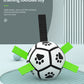 Interactive Dog Football