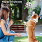 Interactive Dog Football