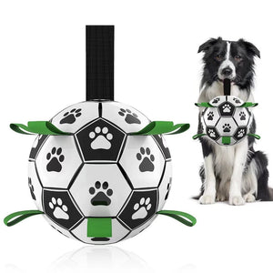 Interactive Dog Football