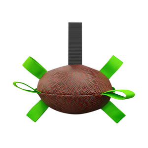 Multicolor Interactive Dog Football