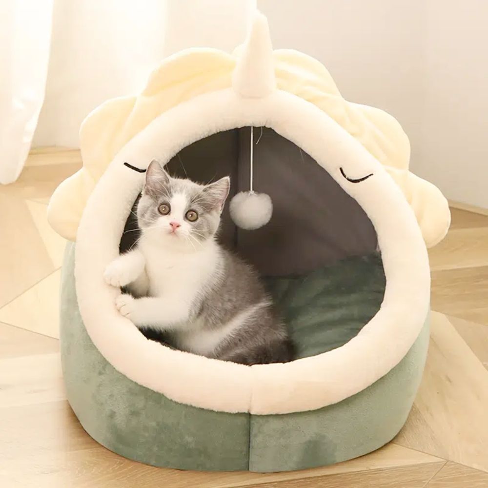 Adorable Dinosaur Pet House with Toy - Pawfection