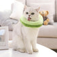Funny Cat Toast & Avocado Collar