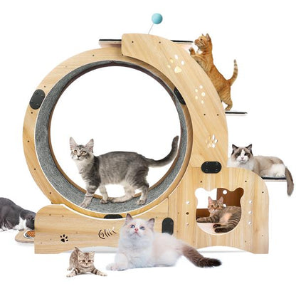 Indoor Cat Exercise Wheel