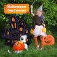 Plush Pumpkin Halloween Pet Costume