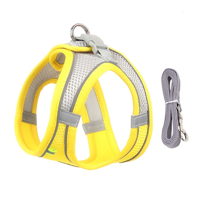 Harness & Leash Set for Small Dogs - Pawfection