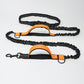 Reflective Bungee Dog Leash