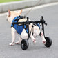Freedom Wheels Dog Wheelchair
