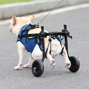 Freedom Wheels Dog Wheelchair