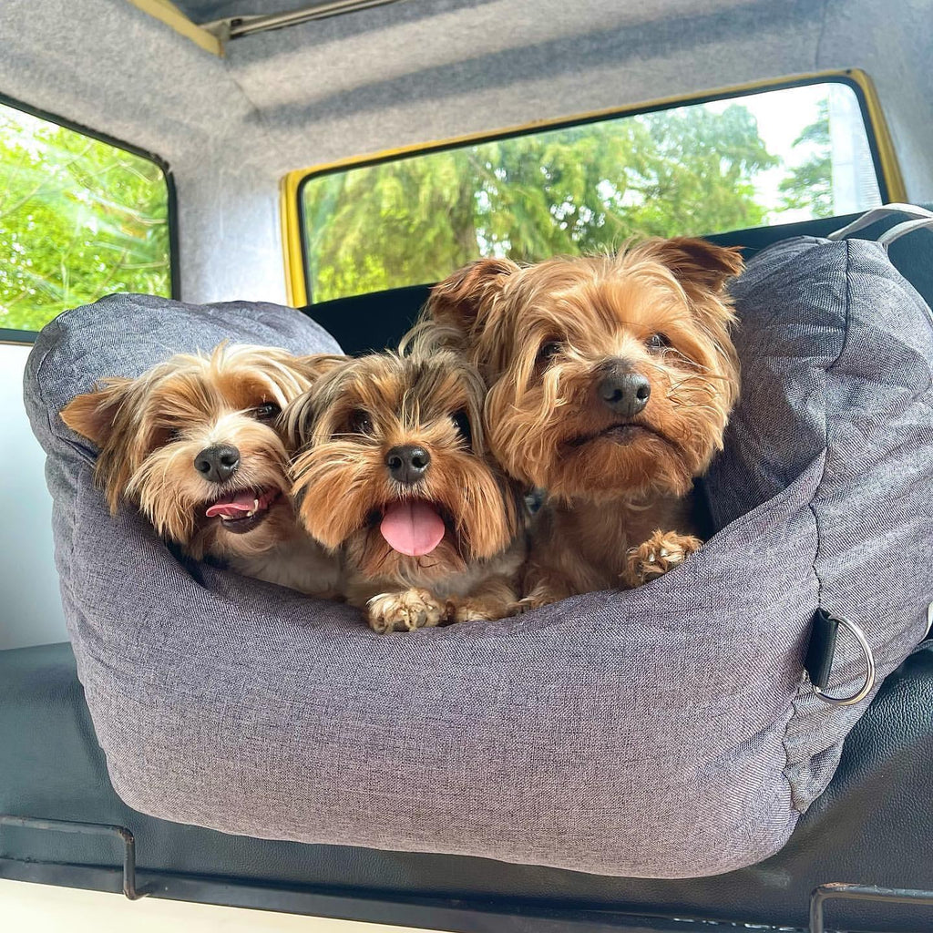 Portable Dog Bed - Pawfection