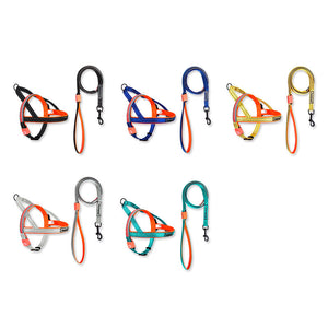 LED dog leash Gray Set