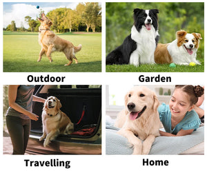 CleanPaws Pro Cleaning Foam