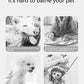 Smart Pet Hair Dryer