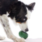 Pupsicle Long-Lasting Interactive Dog Toy