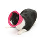 Anti-Bite Pet Recovery Cone