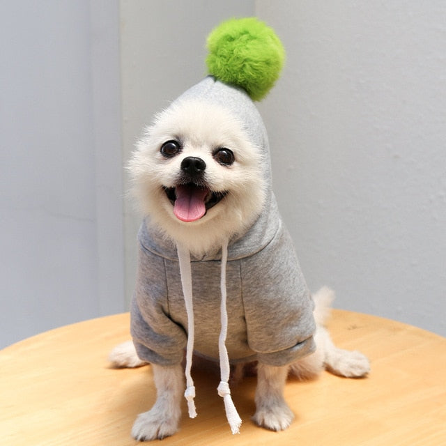 Fruit Pet Coat Hoodies - Pawfection