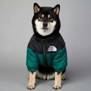 Luxury Winter Pet Jacket
